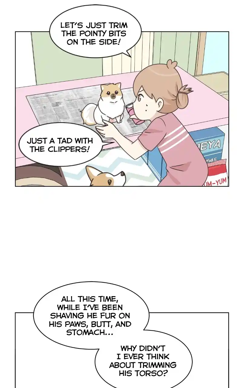 The Dog Diaries Chapter 97