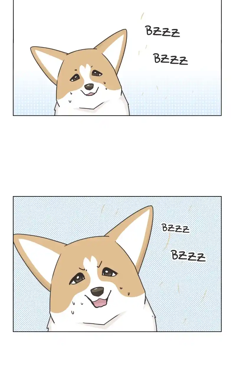 The Dog Diaries Chapter 97