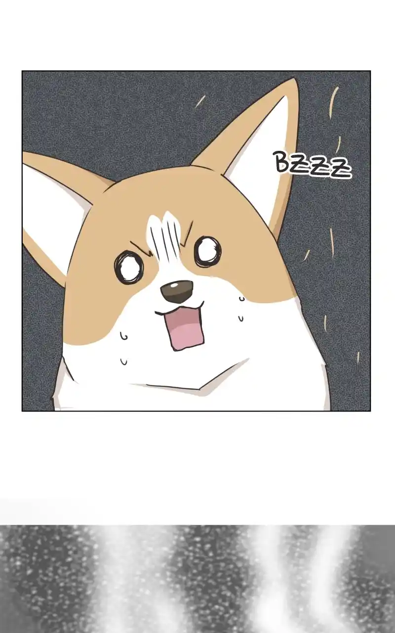 The Dog Diaries Chapter 97