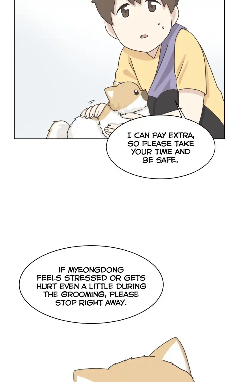 The Dog Diaries Chapter 97