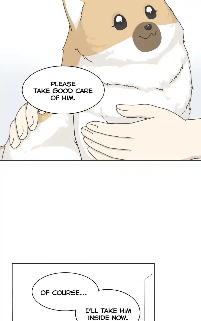 The Dog Diaries Chapter 97