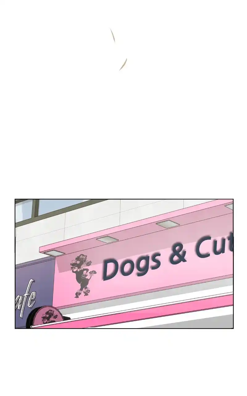 The Dog Diaries Chapter 97