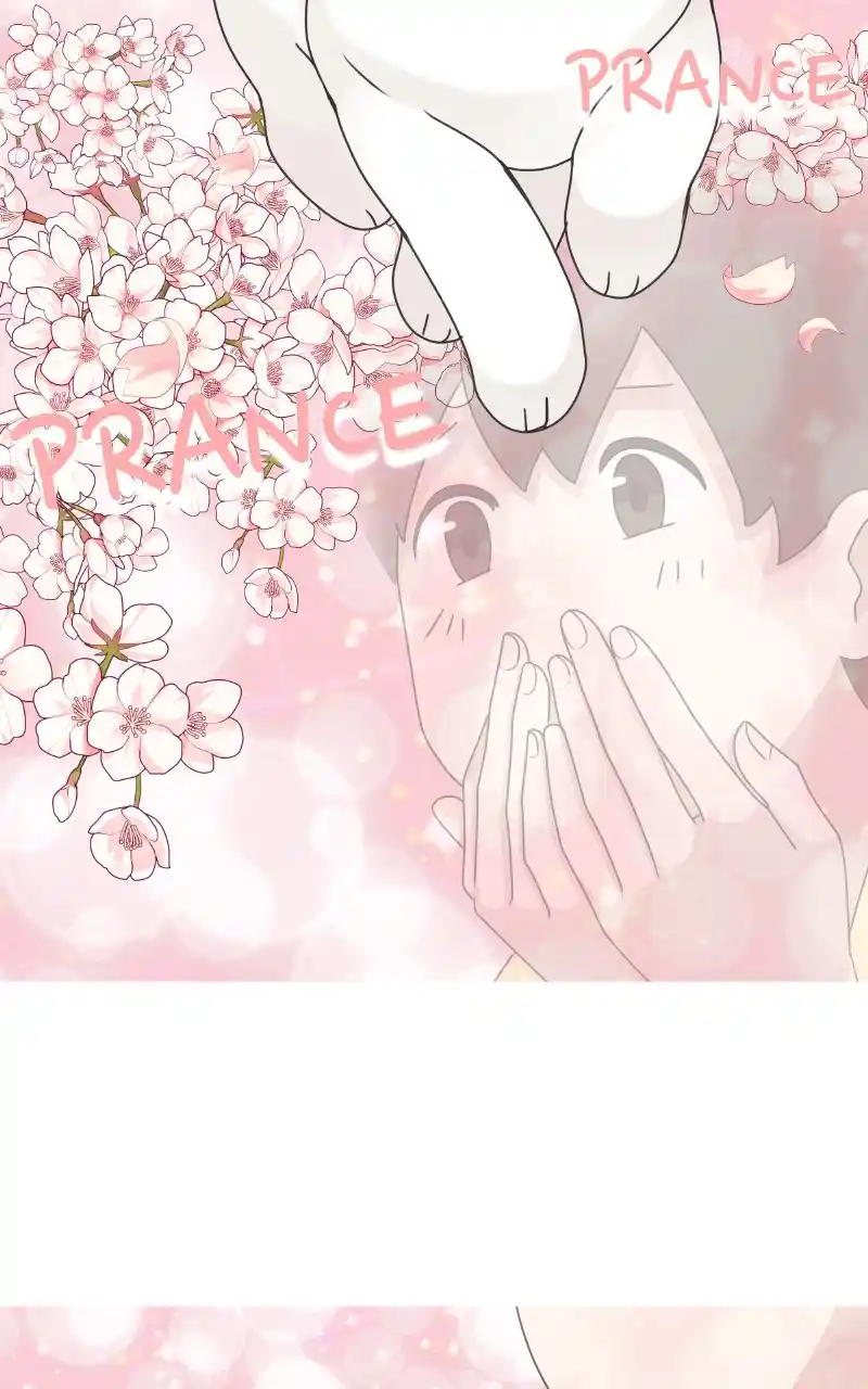 The Dog Diaries Chapter 97