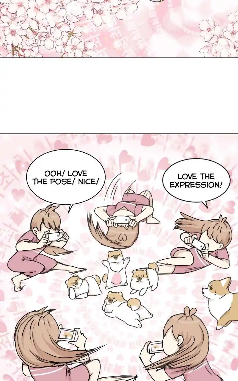 The Dog Diaries Chapter 97