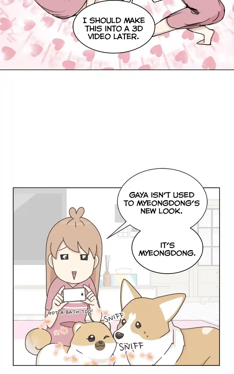 The Dog Diaries Chapter 97