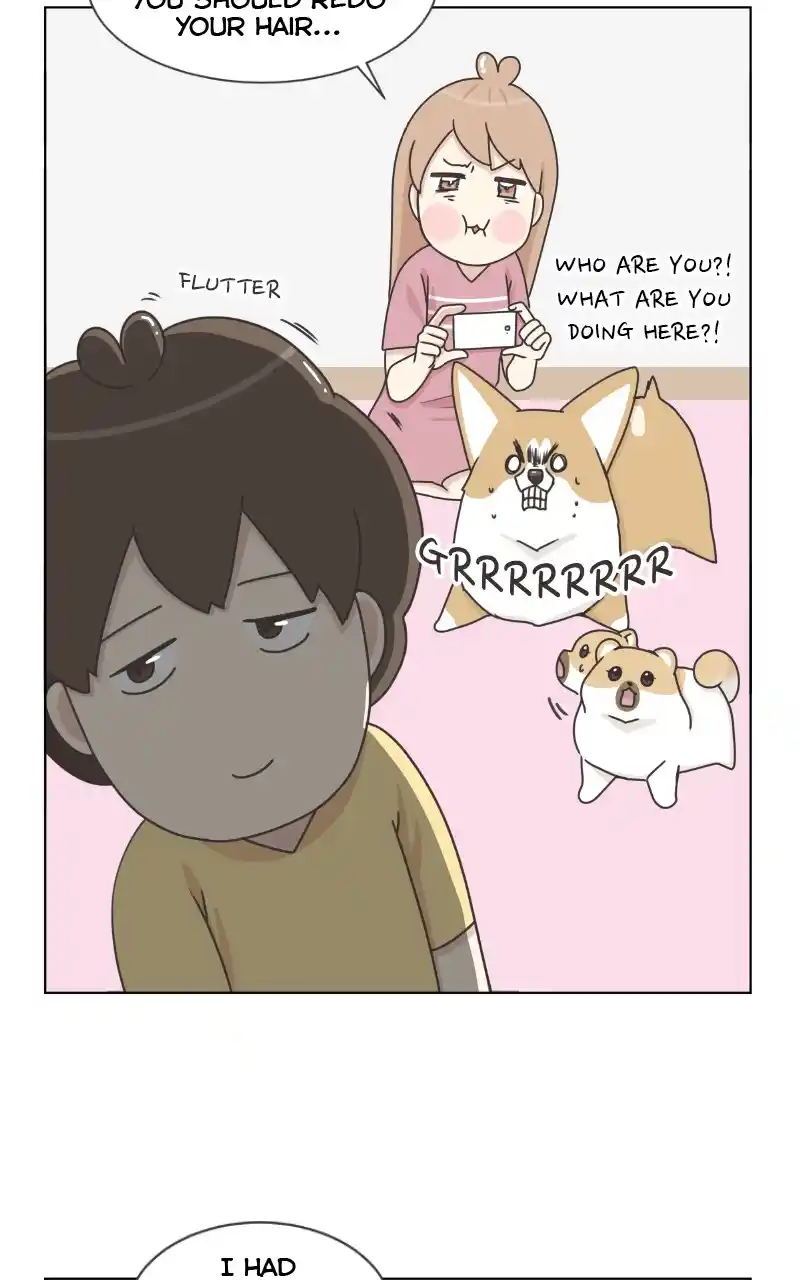 The Dog Diaries Chapter 97