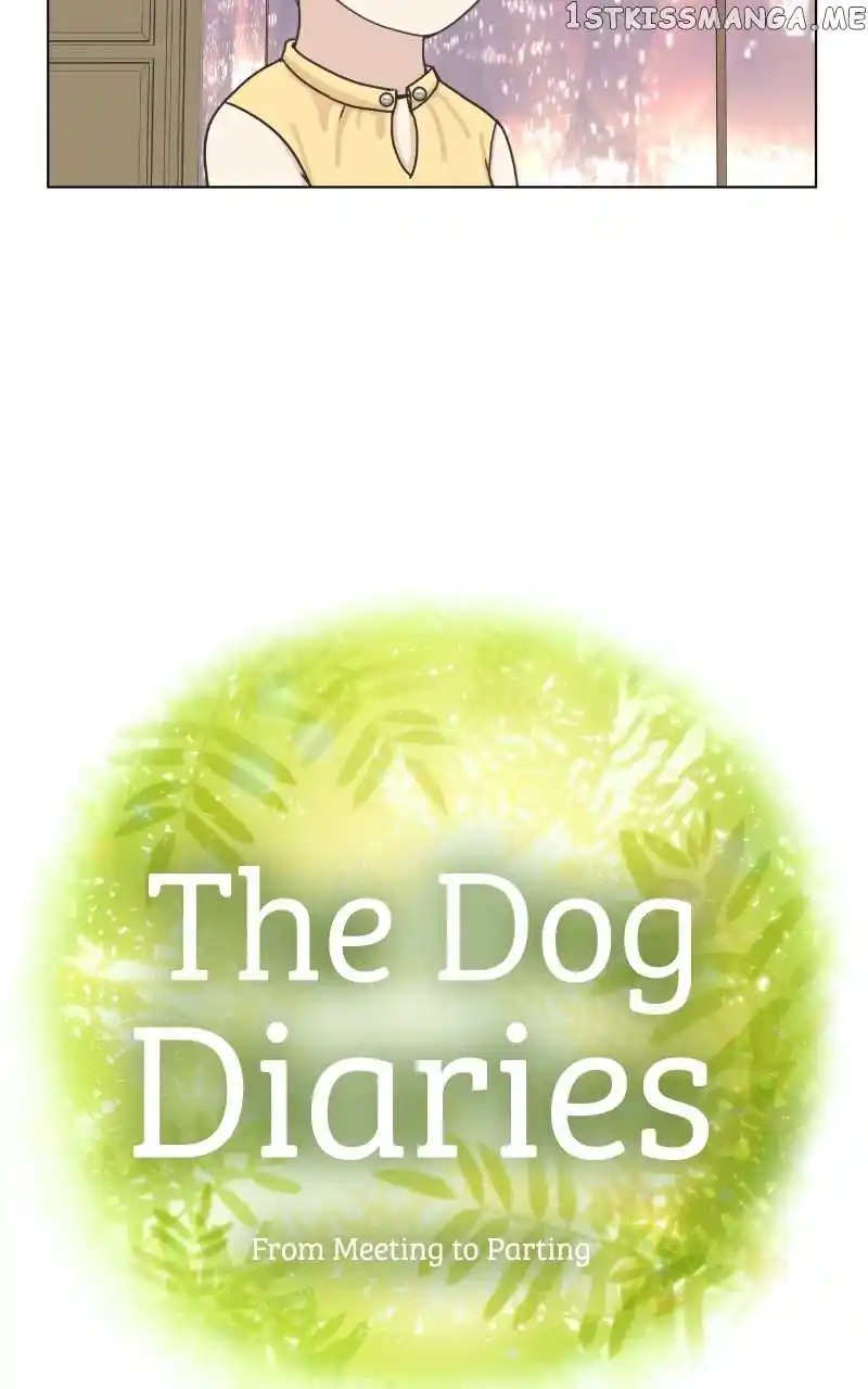 The Dog Diaries Chapter 98
