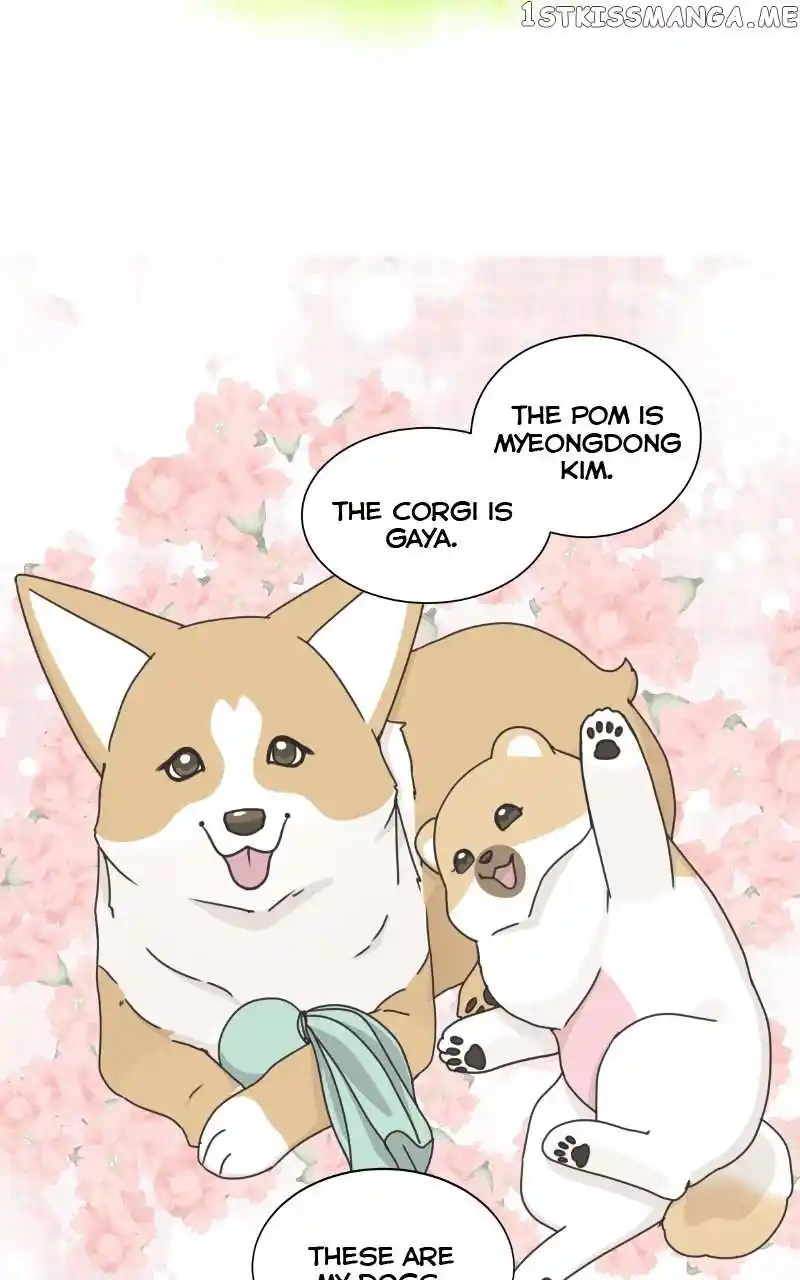 The Dog Diaries Chapter 98