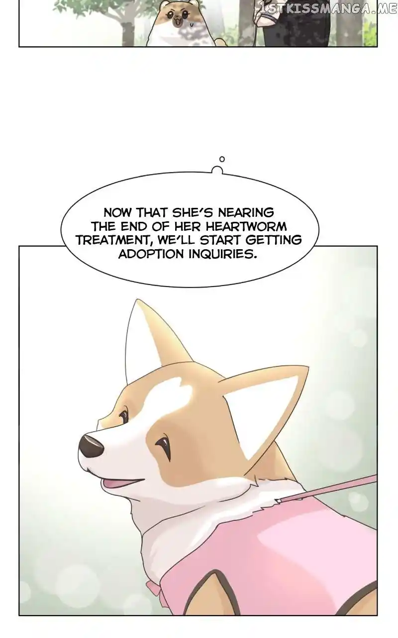 The Dog Diaries Chapter 98