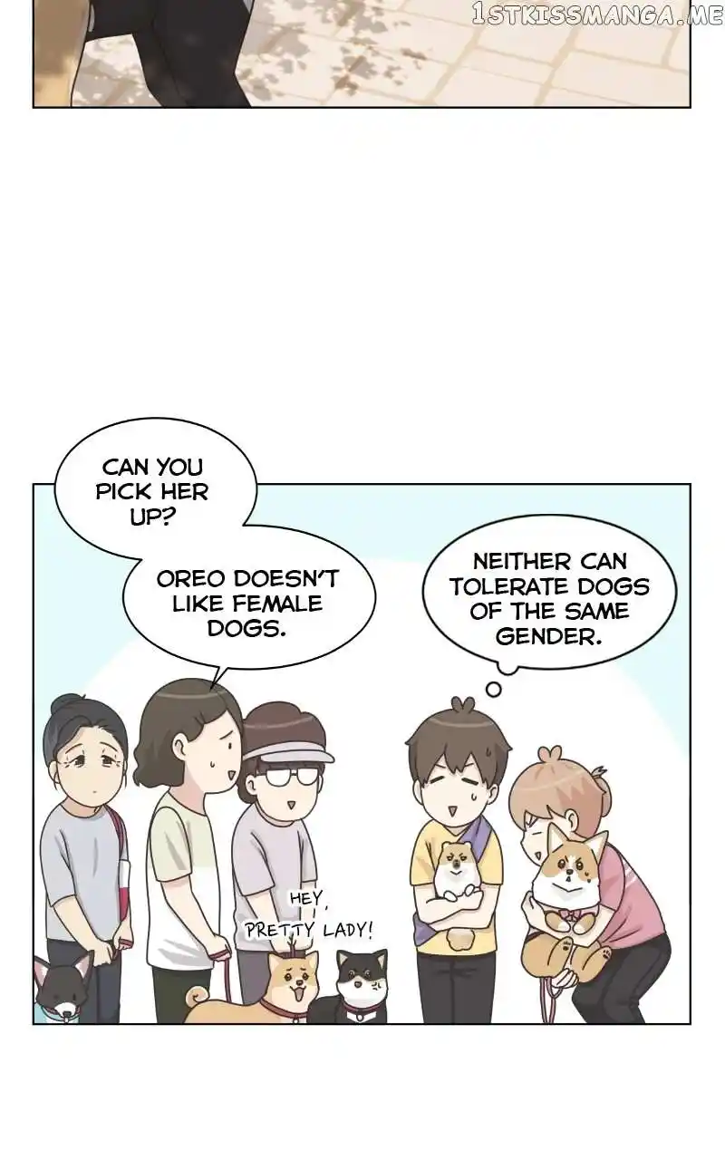 The Dog Diaries Chapter 99