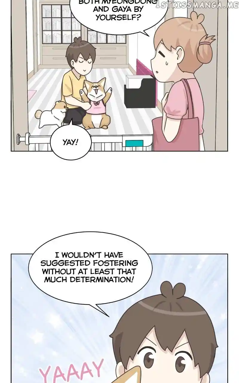 The Dog Diaries Chapter 99