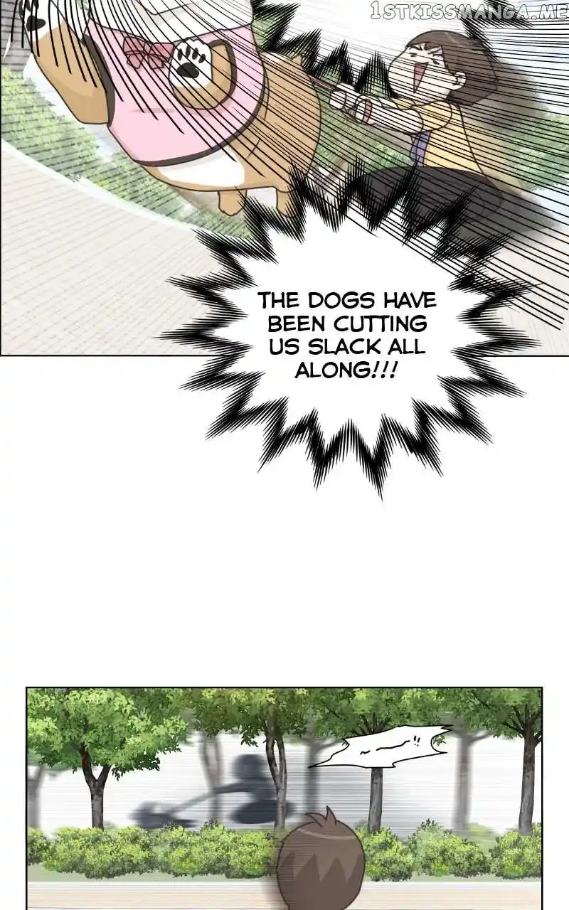 The Dog Diaries Chapter 99