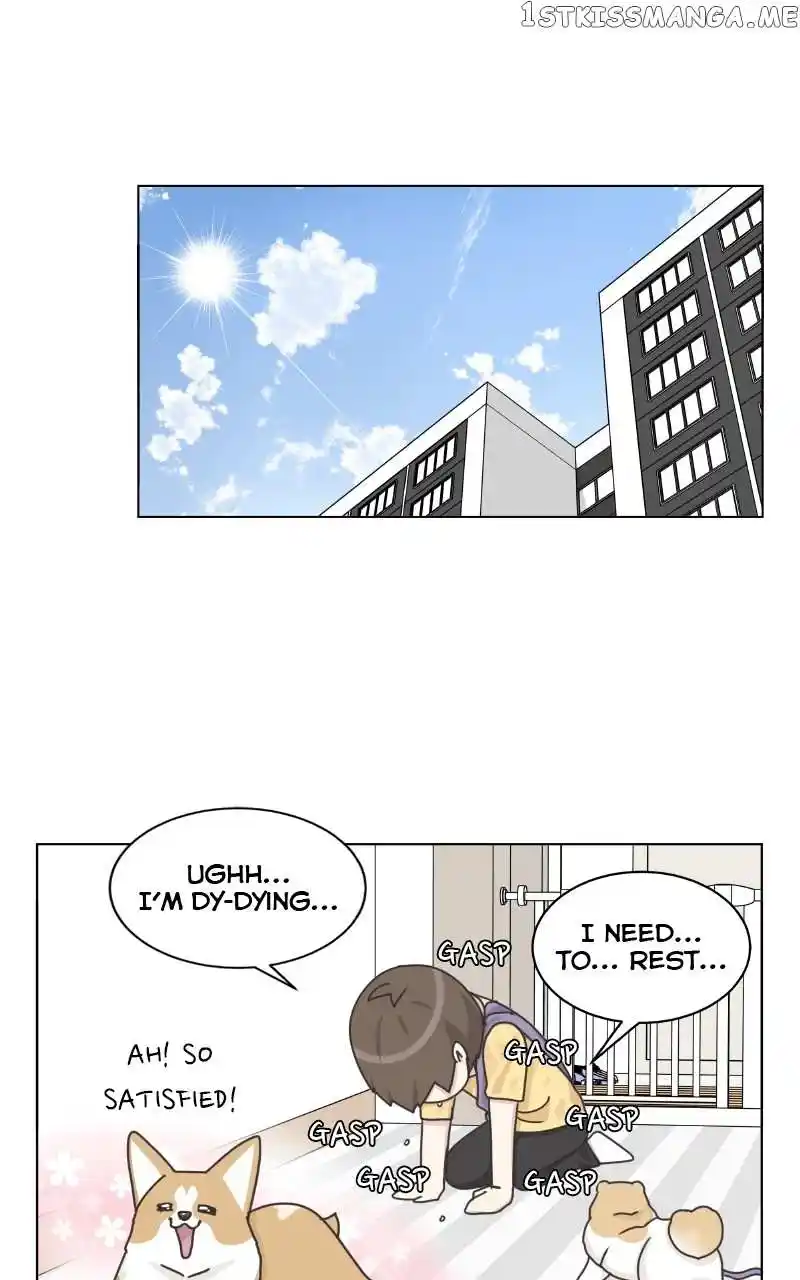 The Dog Diaries Chapter 99