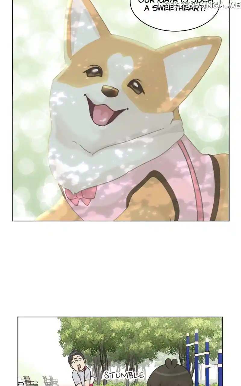 The Dog Diaries Chapter 99