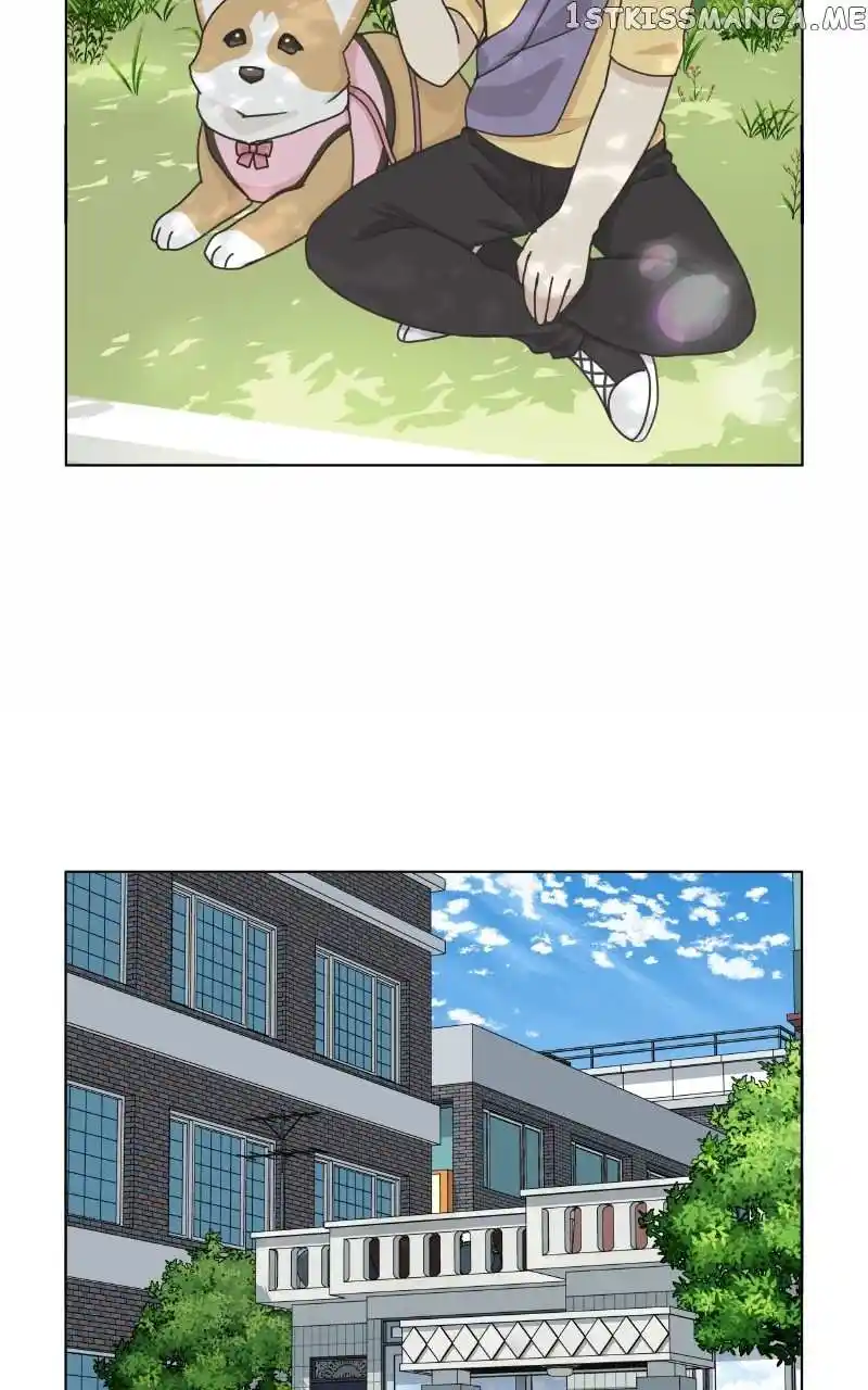 The Dog Diaries Chapter 99