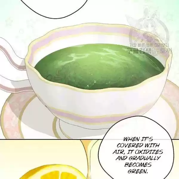 The Duchess' 50 Tea Recipes Chapter 108