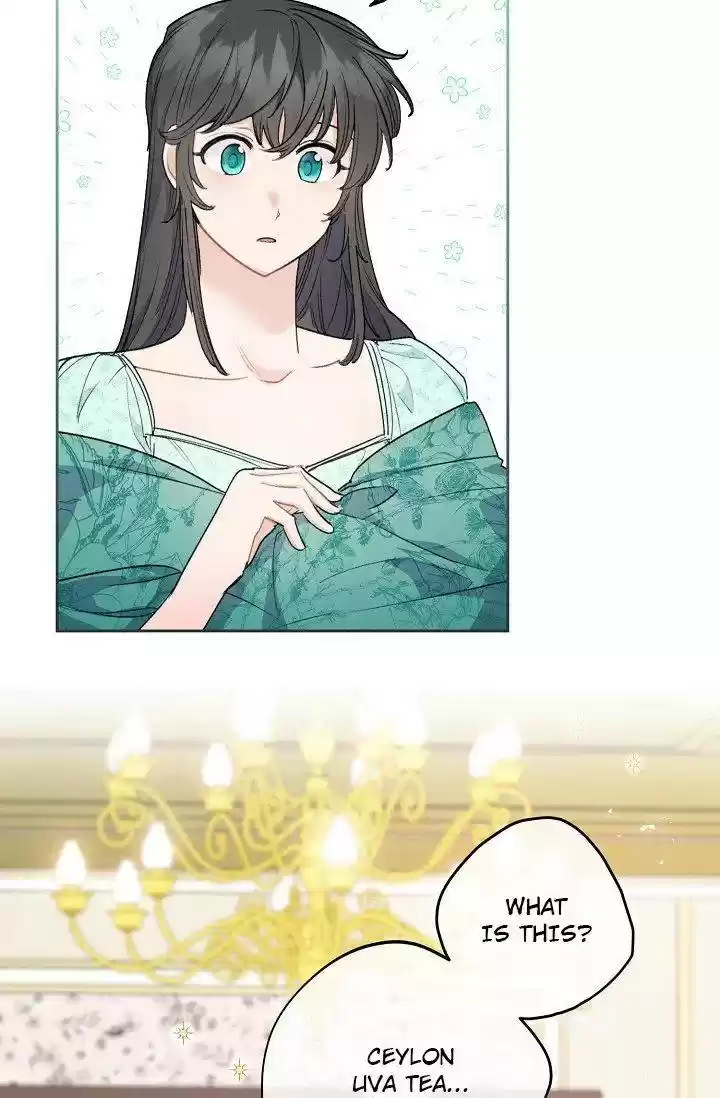 The Duchess' 50 Tea Recipes Chapter 115