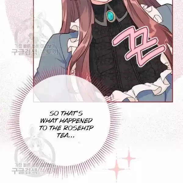 The Duchess' 50 Tea Recipes Chapter 116