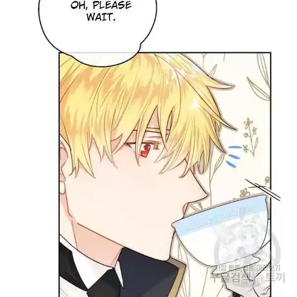 The Duchess' 50 Tea Recipes Chapter 118