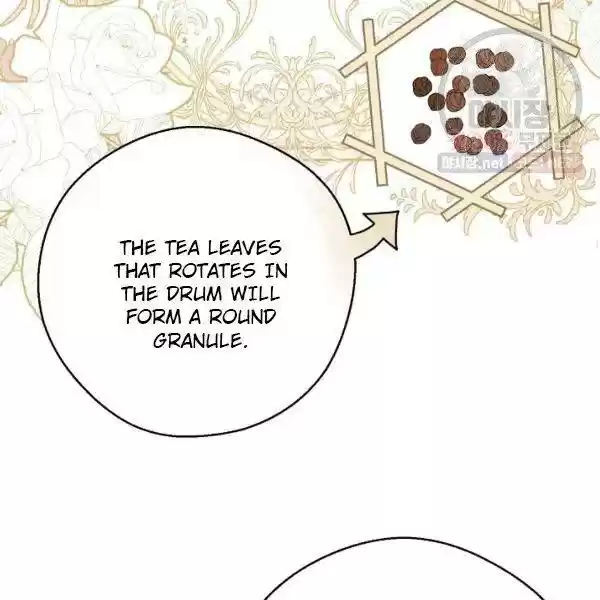 The Duchess' 50 Tea Recipes Chapter 119