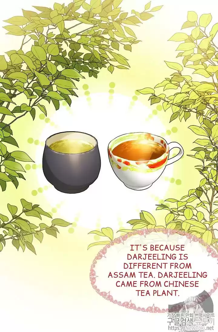 The Duchess' 50 Tea Recipes Chapter 47