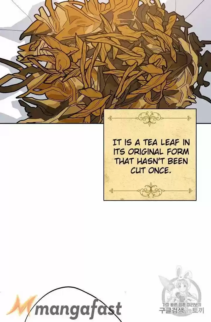 The Duchess' 50 Tea Recipes Chapter 74