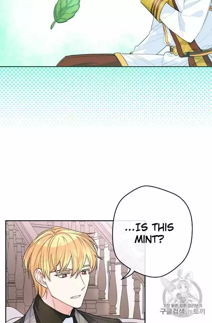 The Duchess' 50 Tea Recipes Chapter 77