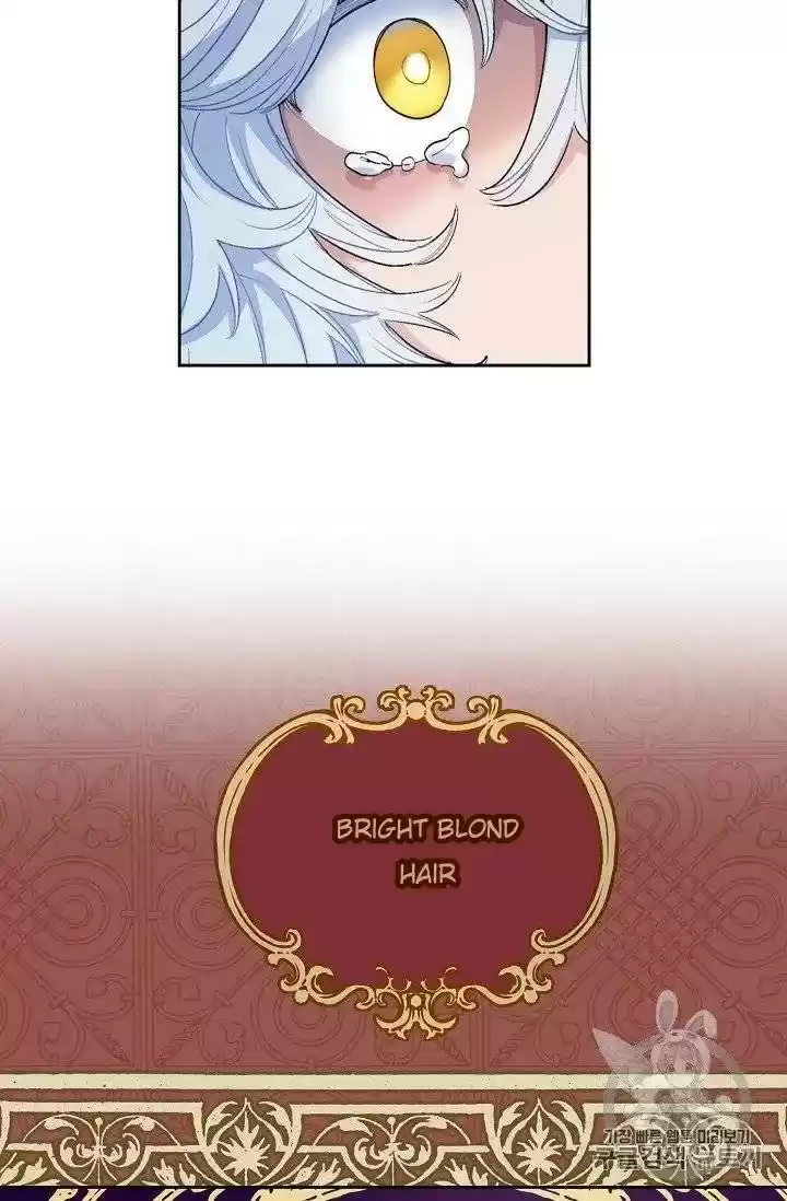 The Duchess' 50 Tea Recipes Chapter 96