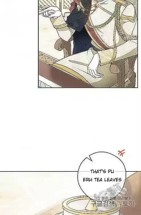 The Duchess' 50 Tea Recipes Chapter 97