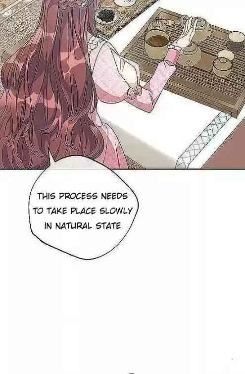 The Duchess' 50 Tea Recipes Chapter 97