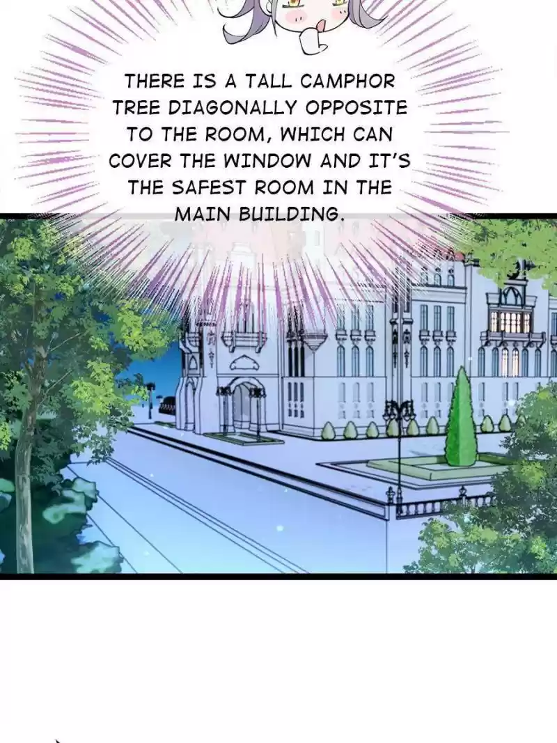 The Duke’S Hidden Baby: Bogo! Chapter 104