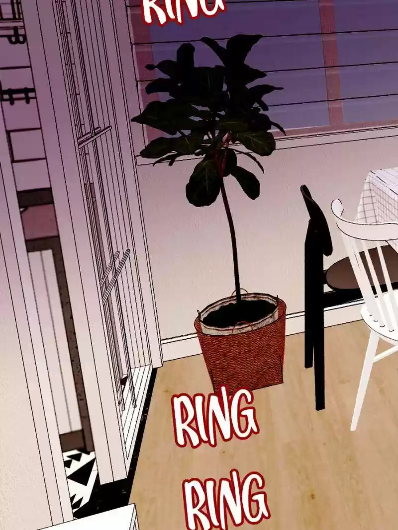 The Duke’S Hidden Baby: Bogo! Chapter 20