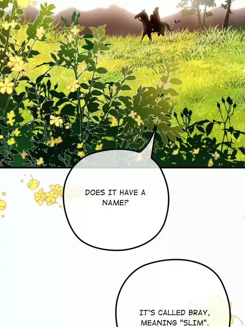 The Duke’S Hidden Baby: Bogo! Chapter 28