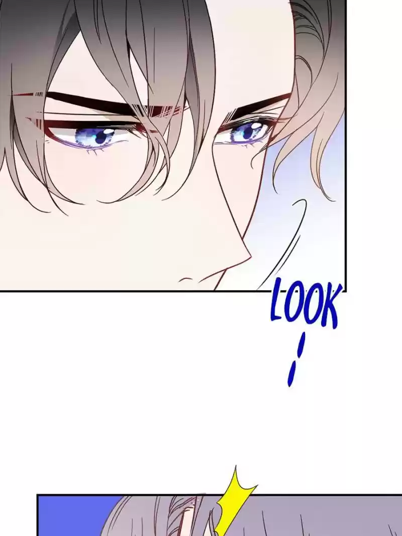 The Duke’S Hidden Baby: Bogo! Chapter 41