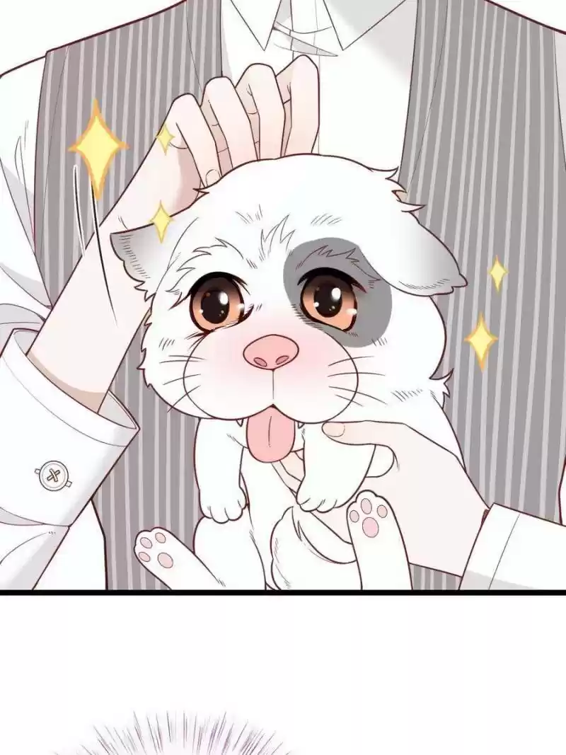 The Duke’S Hidden Baby: Bogo! Chapter 68