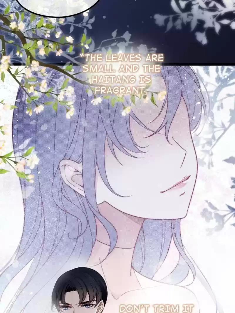 The Duke’S Hidden Baby: Bogo! Chapter 7