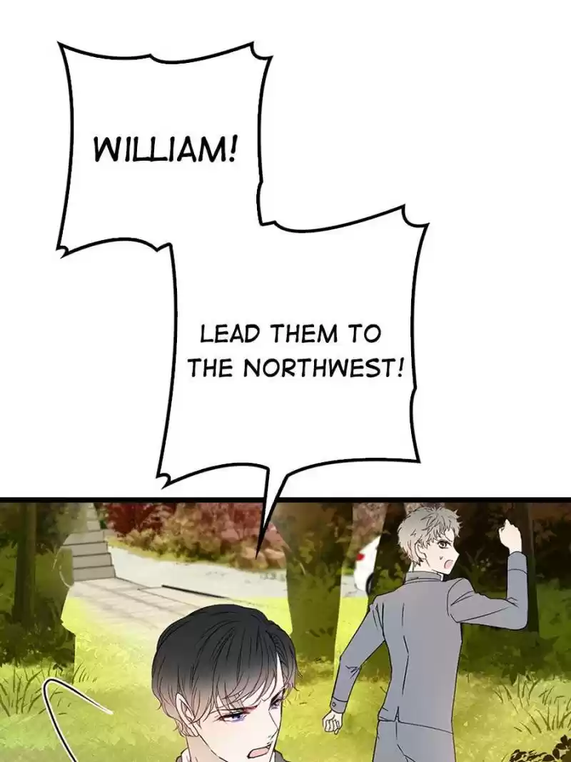 The Duke’S Hidden Baby: Bogo! Chapter 80