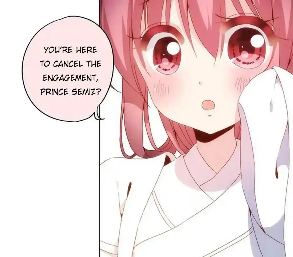 The Empress’ Poor-quality Special Effects Chapter 15