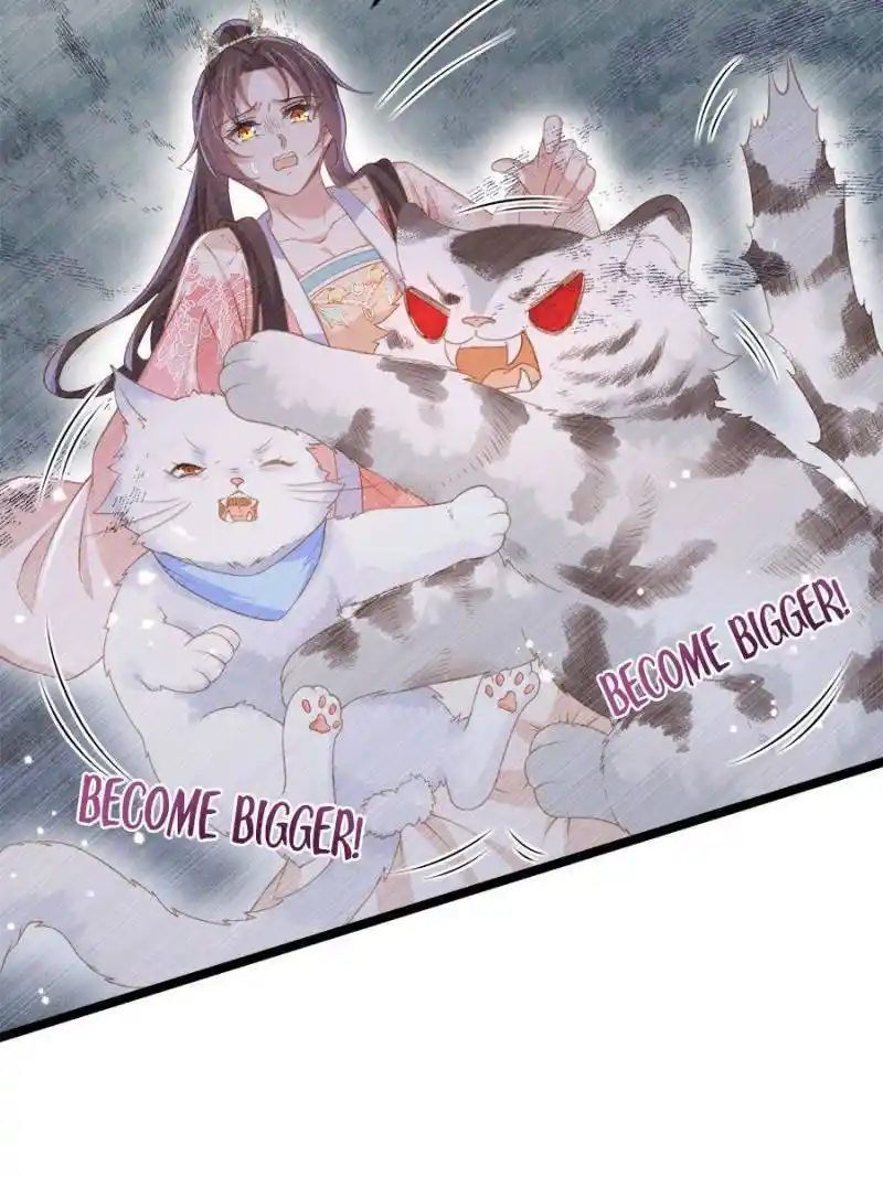 The Eunuch's Consort Rules the World Chapter 356