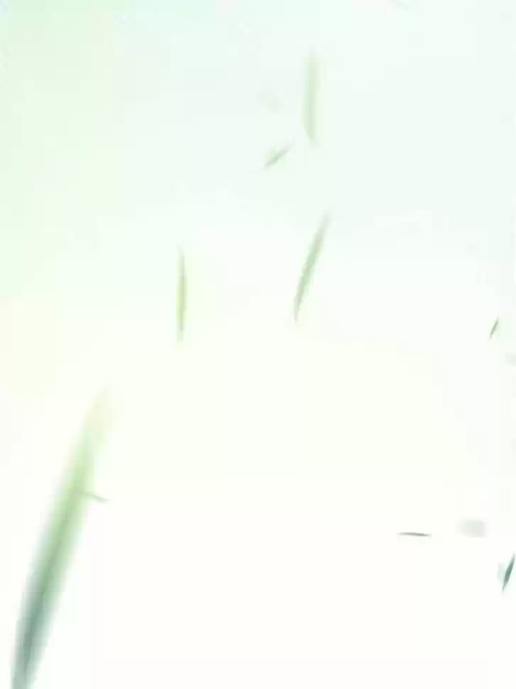 The Evil Girl is The Emperor Ch.073