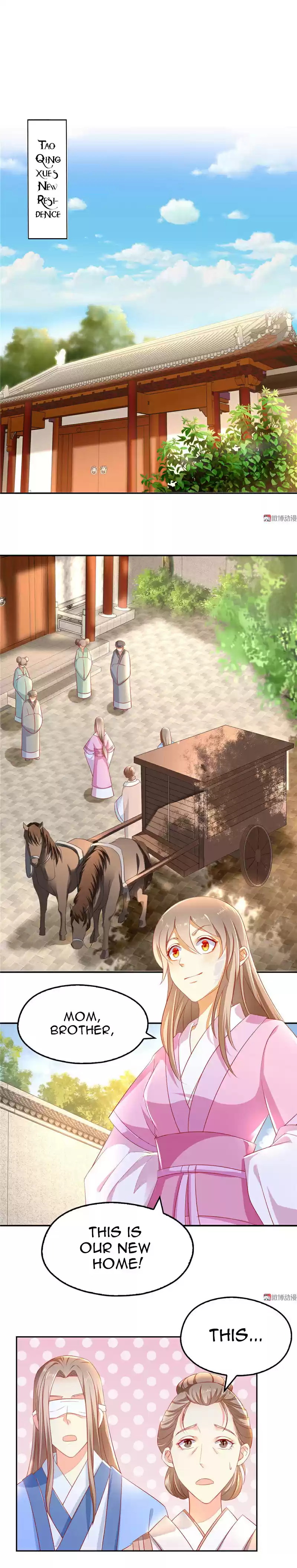 The Evil King's Wicked Consort Ch. 11