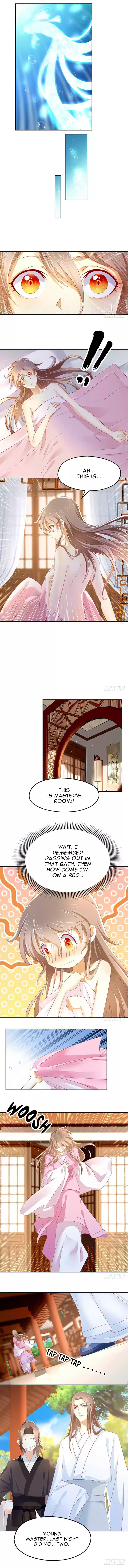 The Evil King's Wicked Consort Ch. 19