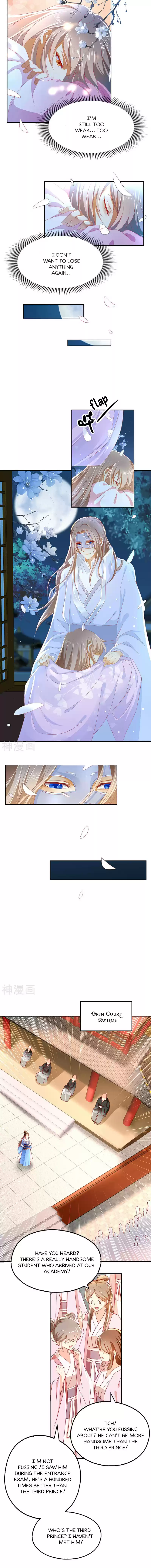 The Evil King's Wicked Consort Ch. 29