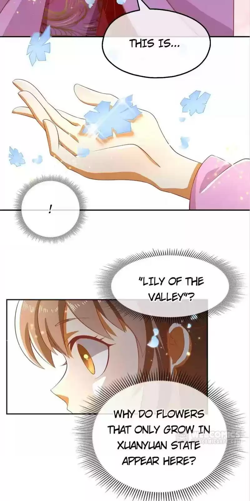 The Evil King's Wicked Consort Chapter 104