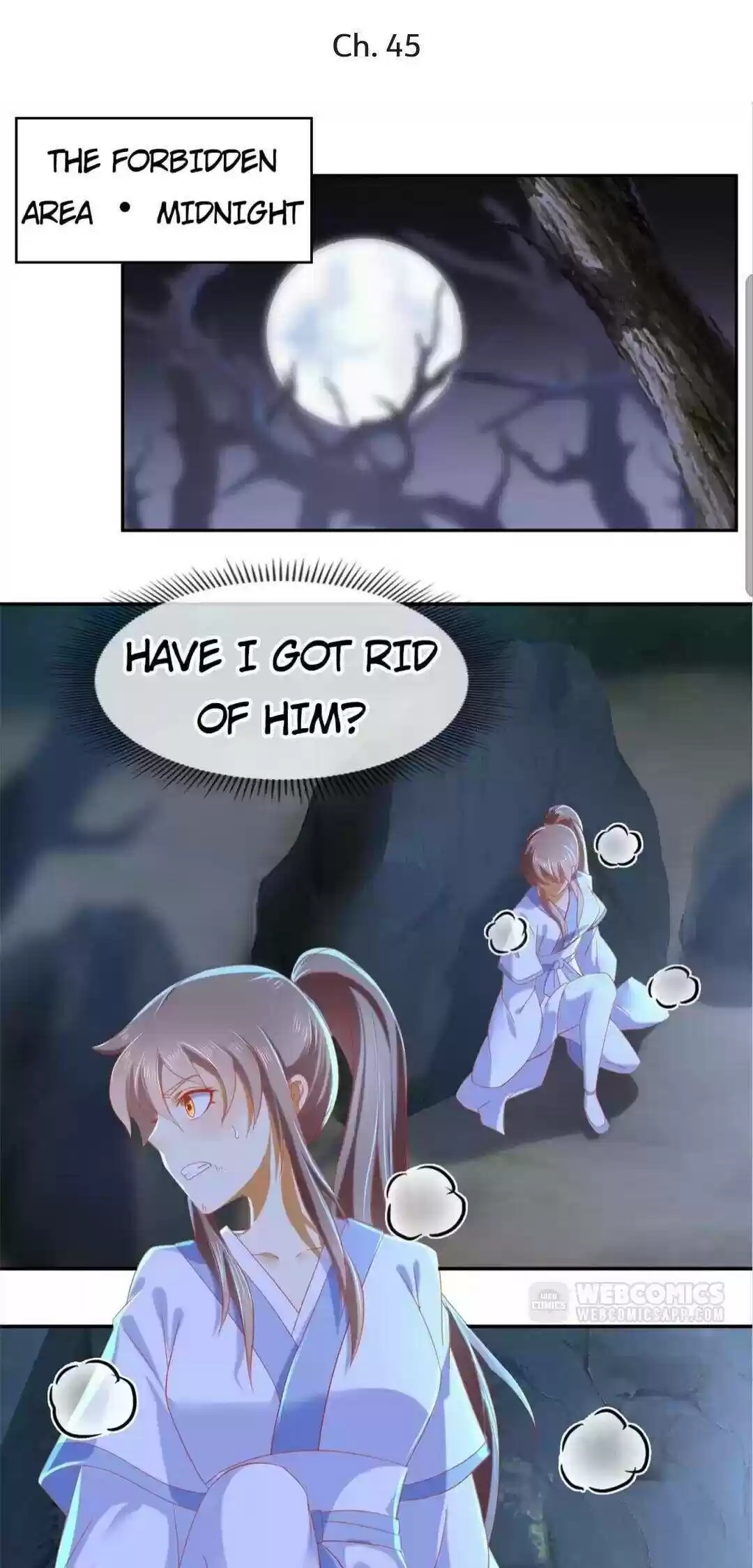 The Evil King's Wicked Consort Chapter 45