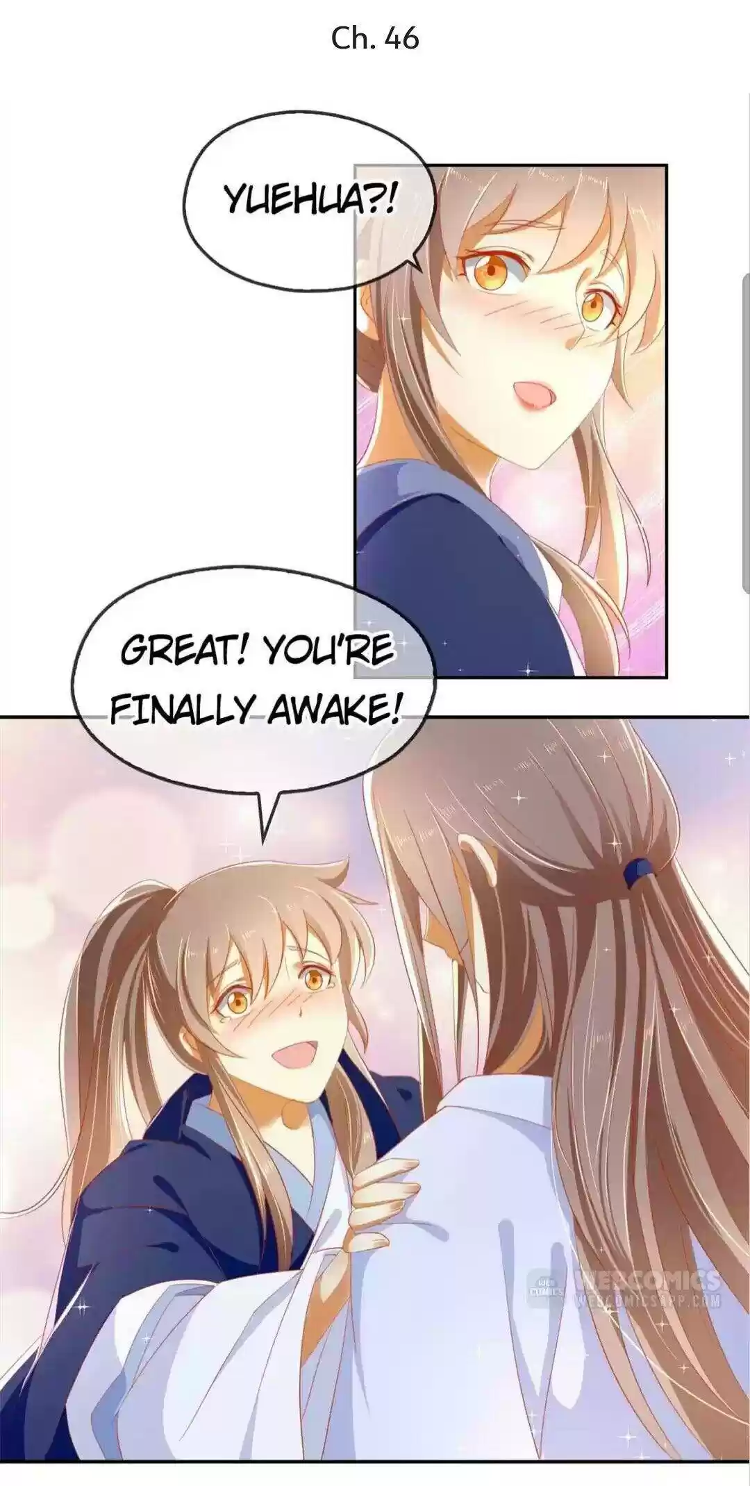 The Evil King's Wicked Consort Chapter 46