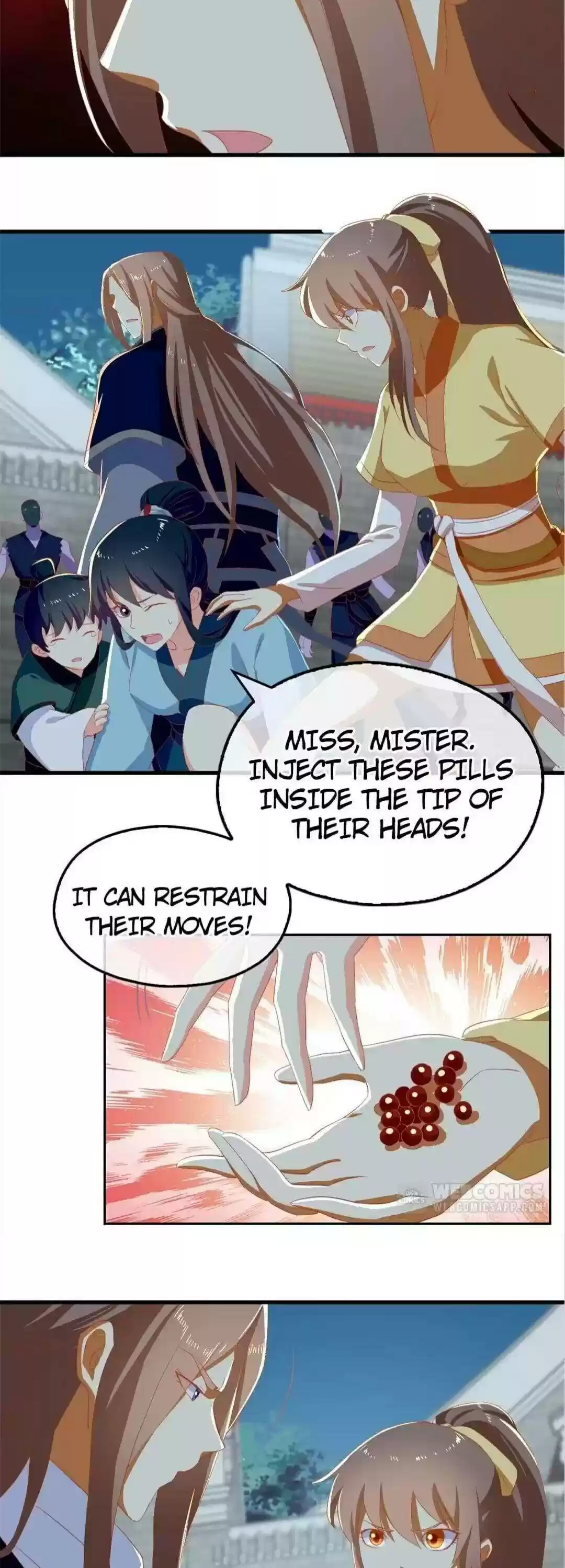 The Evil King's Wicked Consort Chapter 67