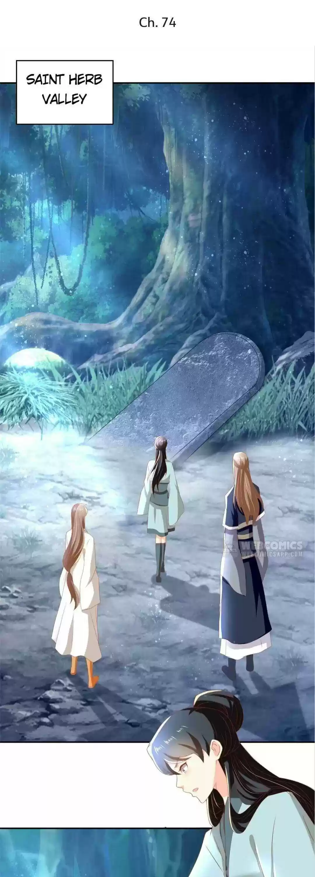 The Evil King's Wicked Consort Chapter 74