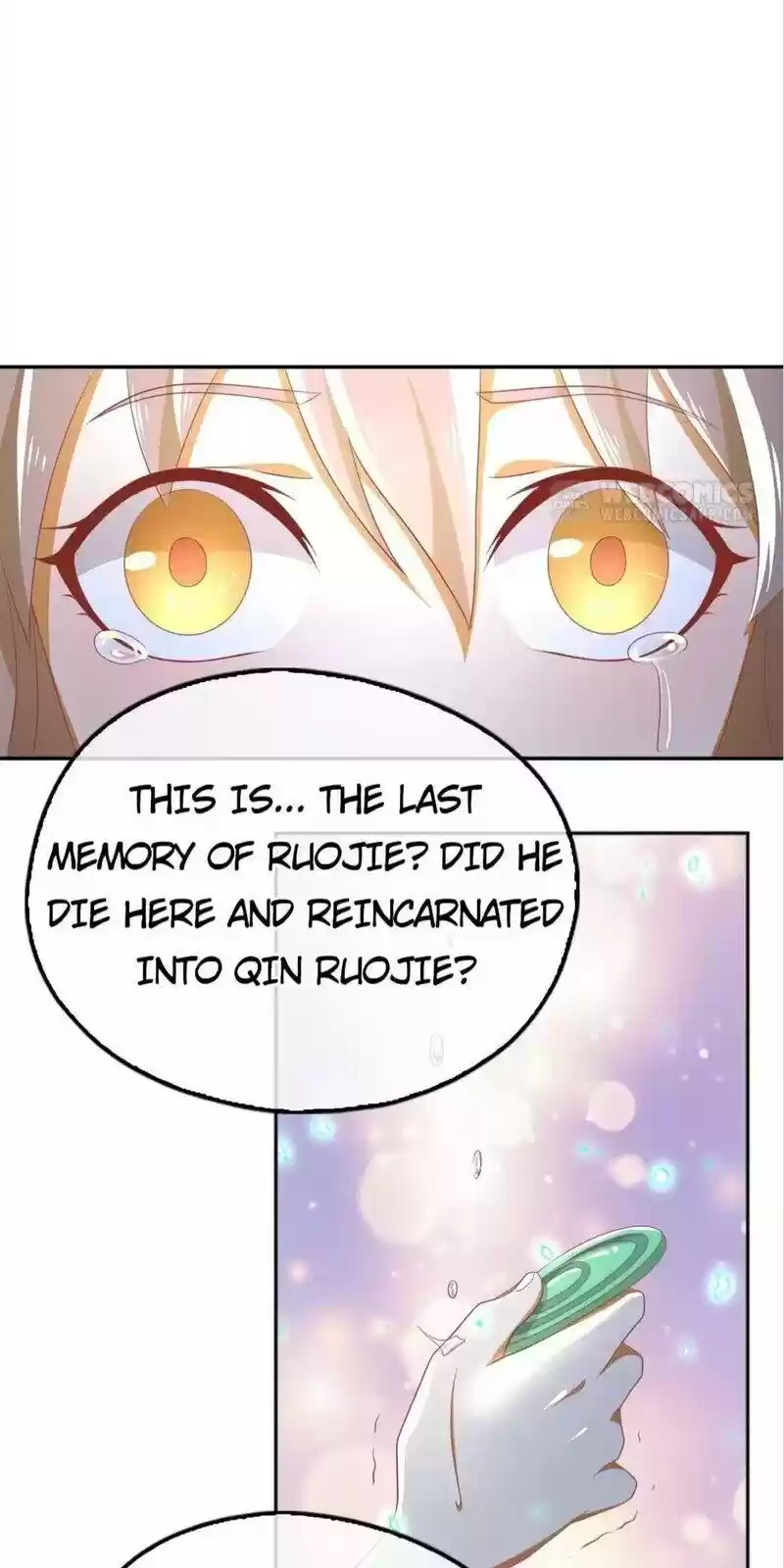 The Evil King's Wicked Consort Chapter 96