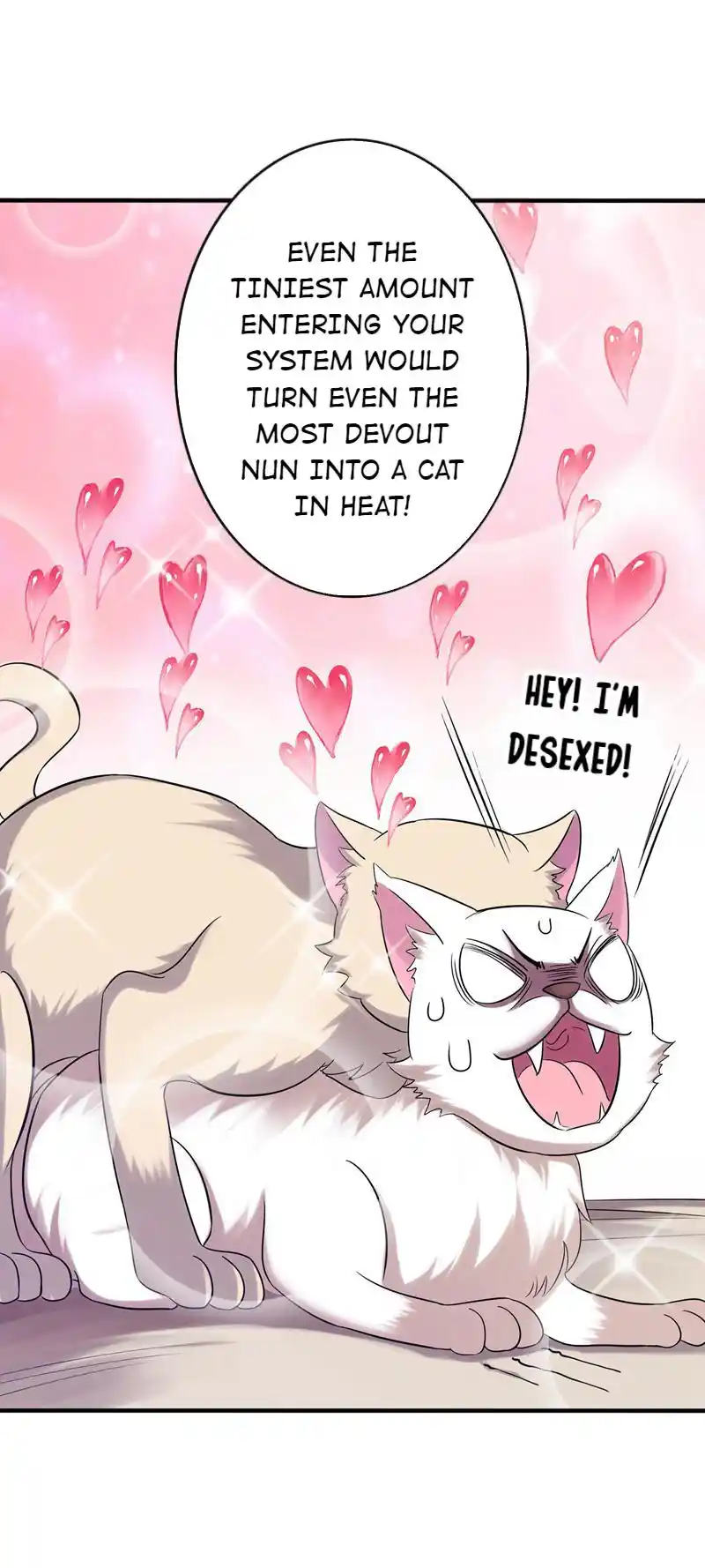 The Fiesty Wife Is Not to Be Messed With 44